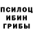 Галлюциногенные грибы GOLDEN TEACHER Eroli Mah
