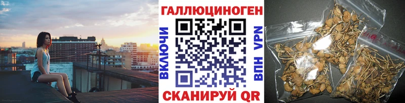 Галлюциногенные грибы GOLDEN TEACHER закладка Йошкар-Ола